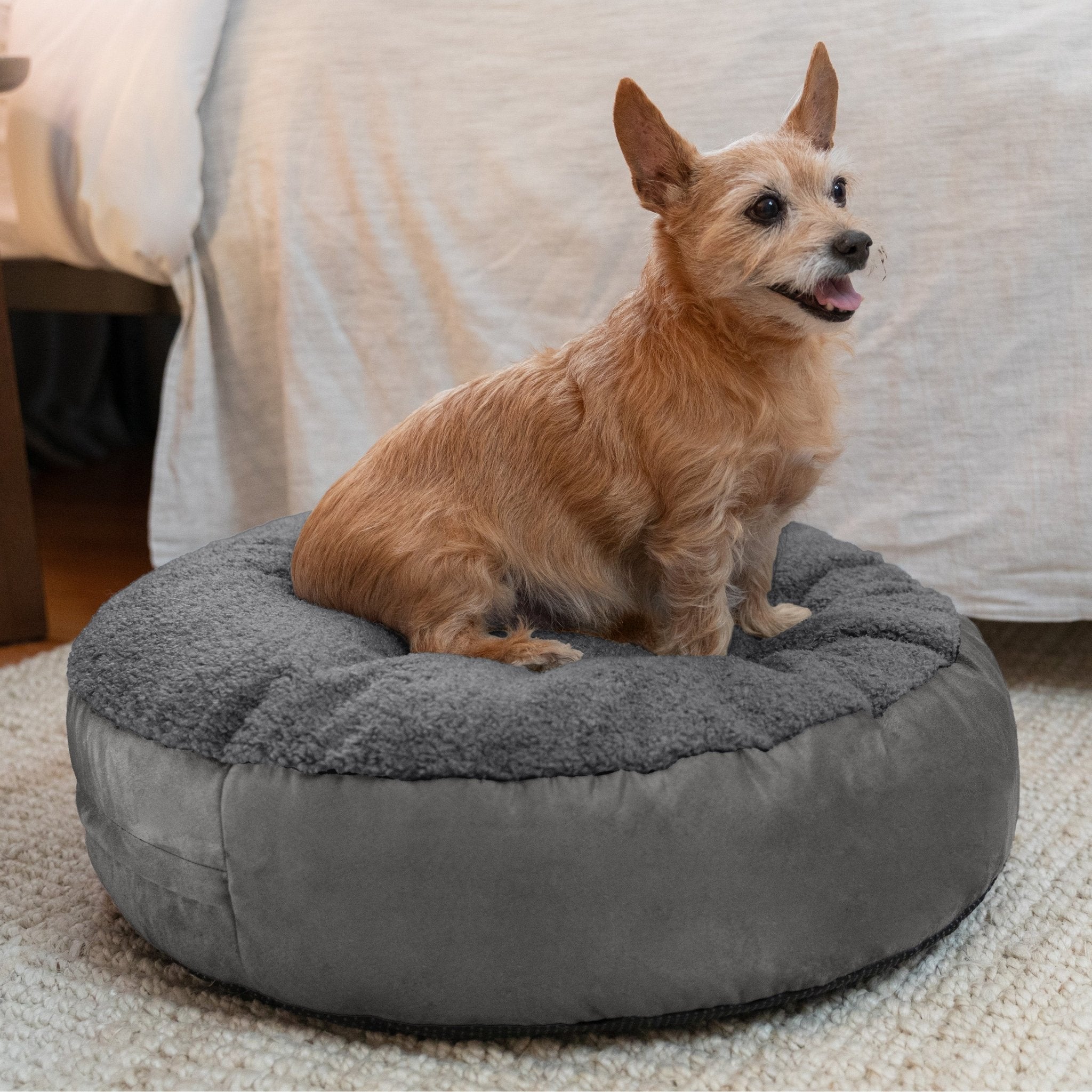 Pet weaves by rai dog bed best sale