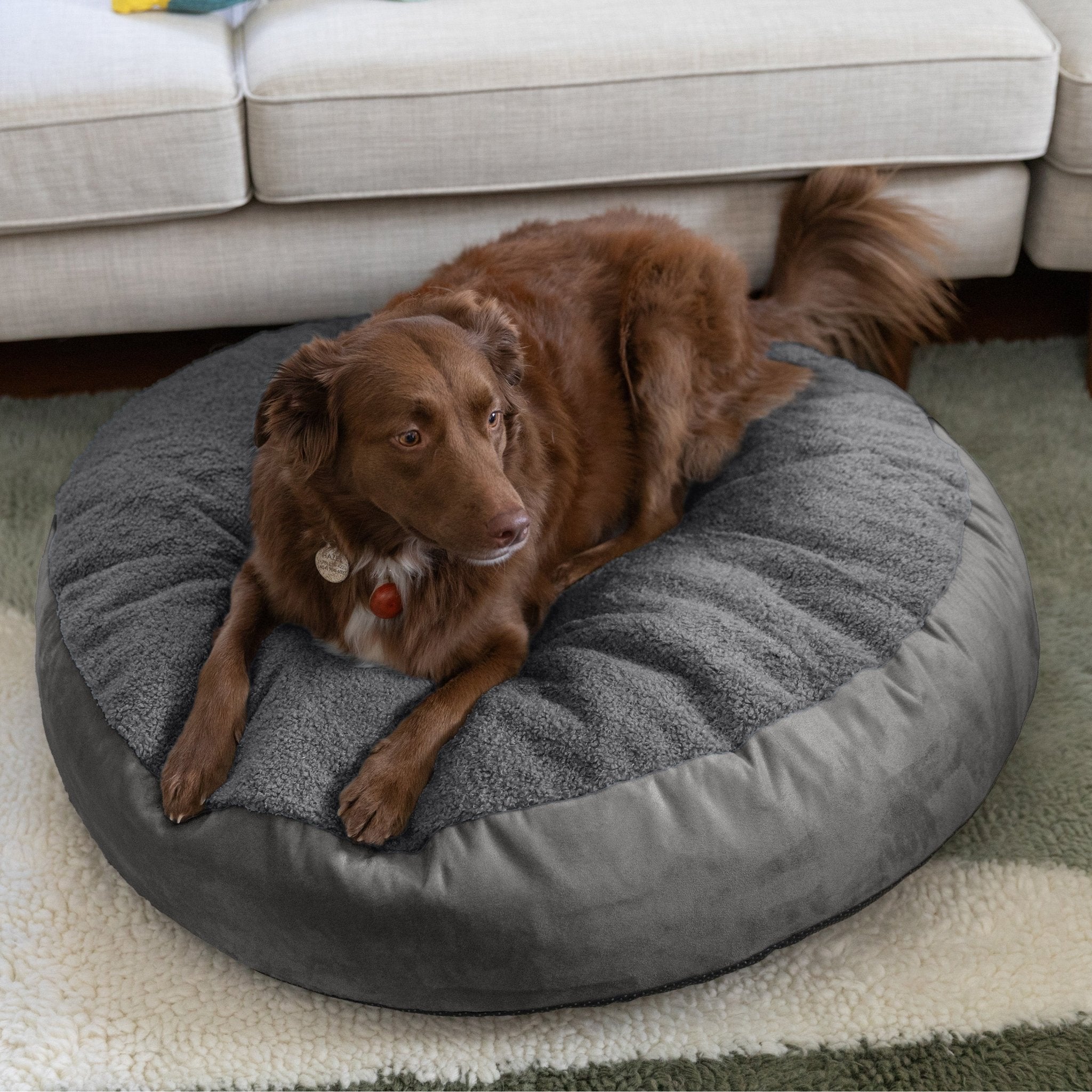 Jaxx Robbi Round Pet Bed Medium JAX 19728