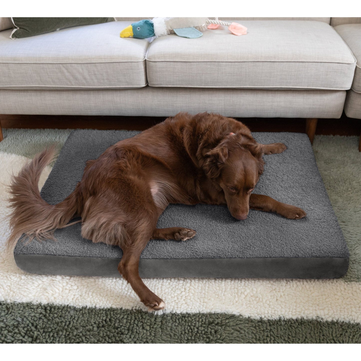 Jaxx Cubbi Dog Bed - Plush Boucle Sherpa Top for Cozy Comfort, Supportive Memory Foam for Joint Pain Relief, No - Slip Base for Stability, Machine Washable Cover and Waterproof Liner, Large (19752) - SchoolOutlet
