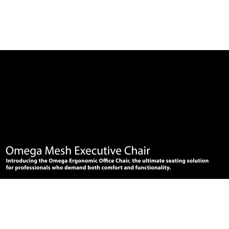 Regency Omega Mesh O - 2 Tech Ergonomic Management Office Chair with Headrest/Adjustable Lumbar Support (OMG002BK) - SchoolOutlet