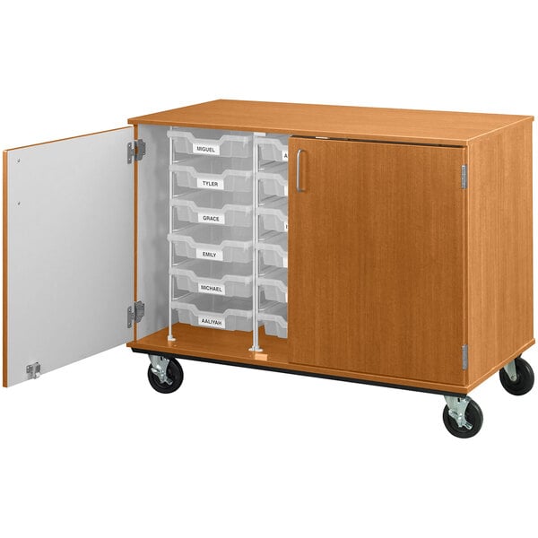 36" Assembled Mobile Bin Storage Cabinet with Doors and 18 3" Bins (80243 F36) - SchoolOutlet