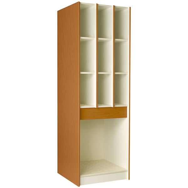 29" Deep Instrument Storage with Solid Doors (89726 278429 B) - SchoolOutlet