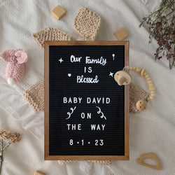 Gracie 12x17 Felt Letter Board with Wooden Frame, 389 PP Letters Including Numbers, Symbols and Icons, Canvas Carrying Case, Torched Wood/Felt